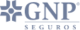 GNP